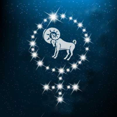 Widder Frau Widder als Frau