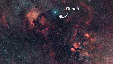 deneb Deneb