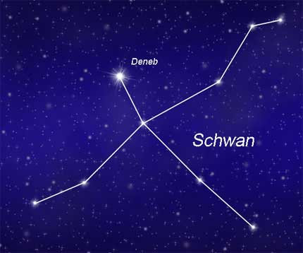 sternbild-schwan-cygnus Sternbild Schwan