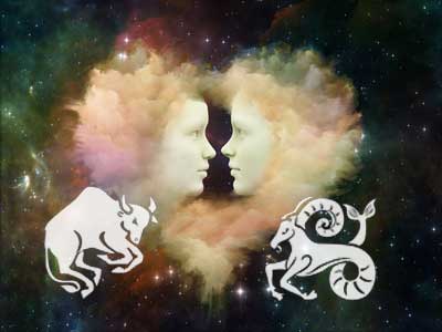 stier-steinbock Stier Steinbock