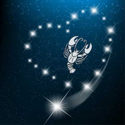 krebs-liebe Krebs und Liebe