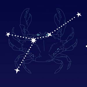 partnerhoroskop Partnerhoroskop